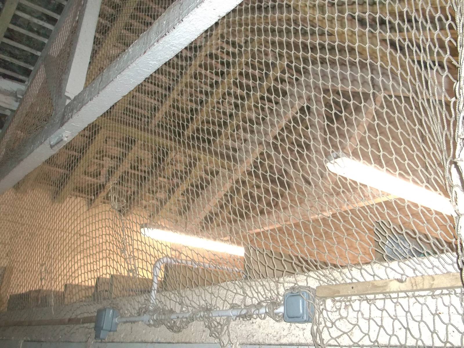 New anti-pigeon netting above storage area, 19th December 2014