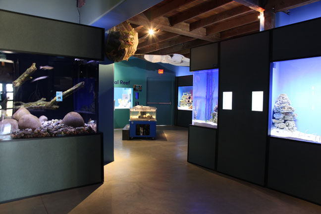 new aquarium building