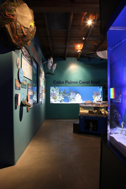 new aquarium building