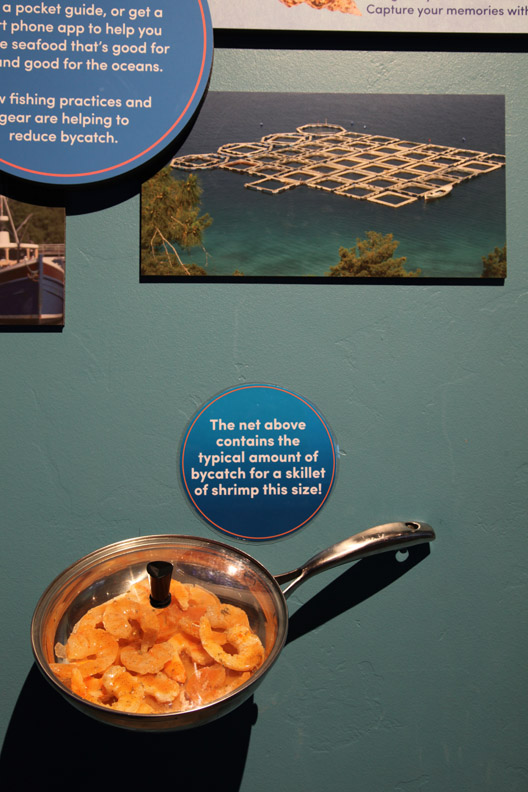 new aquarium building