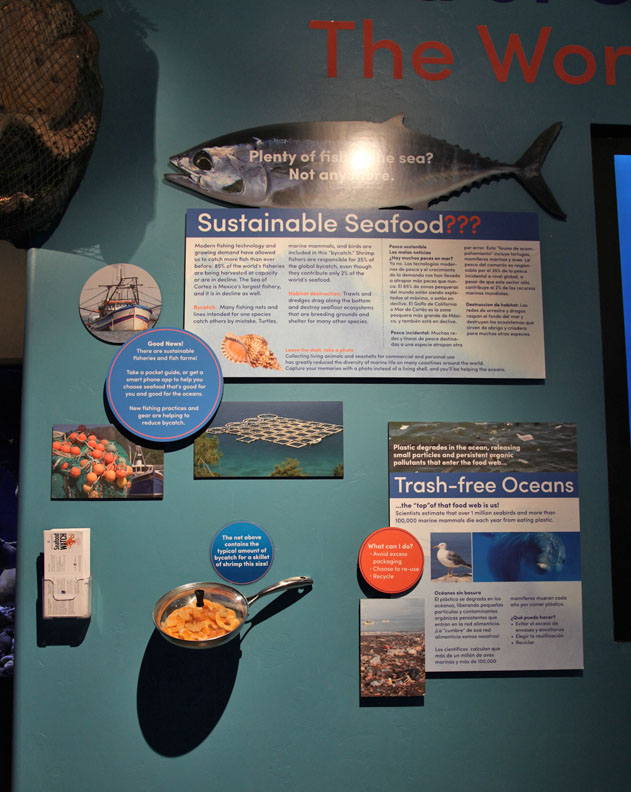 new aquarium building