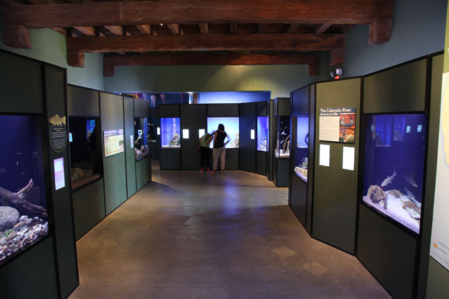 new aquarium building