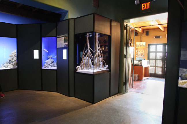 new aquarium building