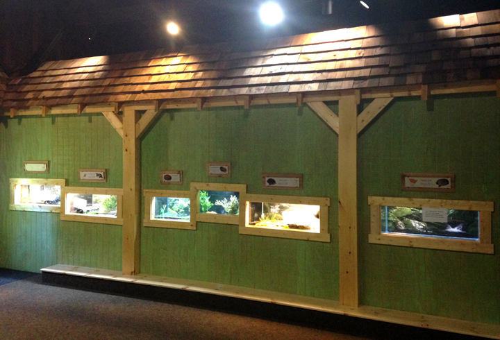 New Aquatic exhibits