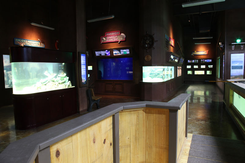 new aquatics building