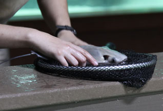 new aquatics building