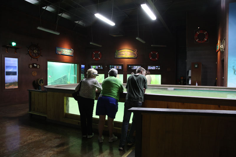 new aquatics building