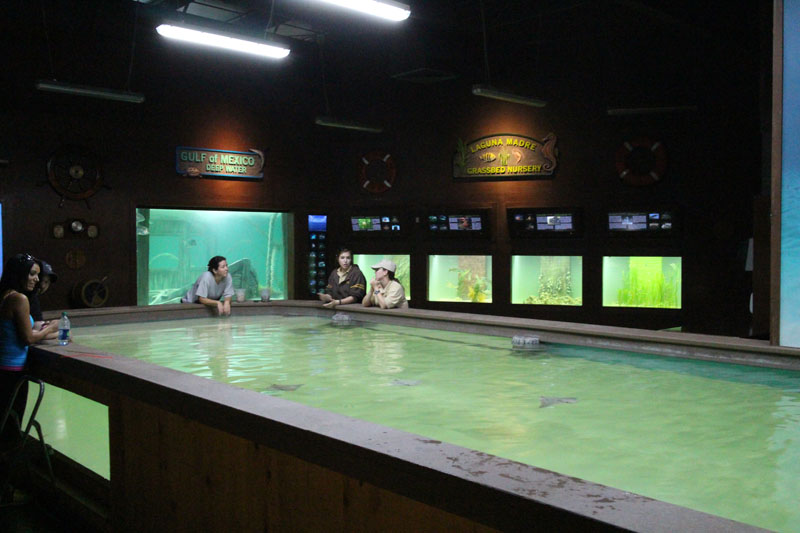 new aquatics building