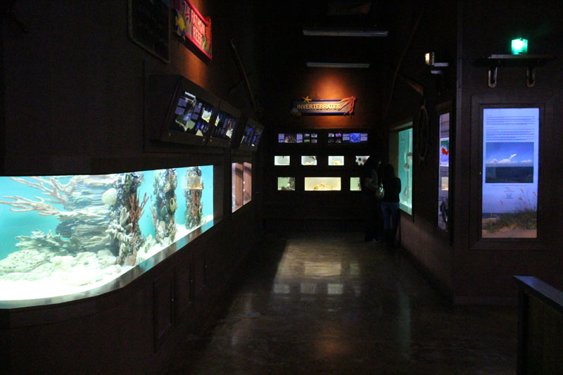 new aquatics building