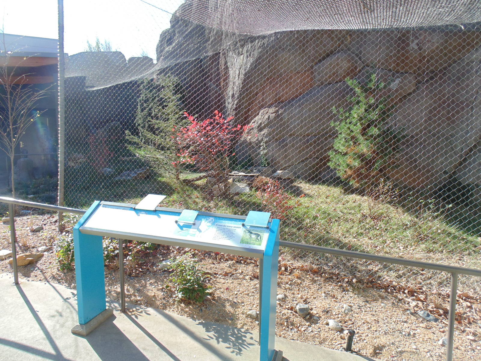 New Arctic Fox Exhibit