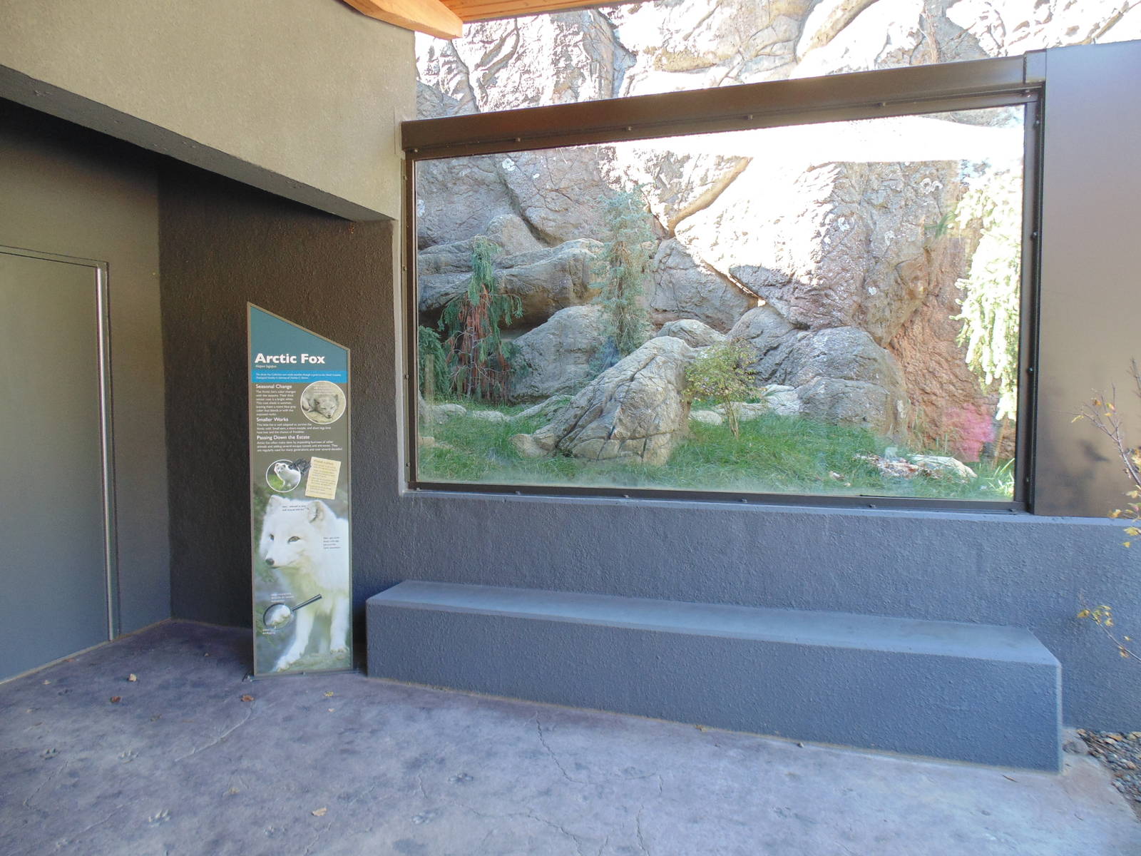 New Arctic Fox Exhibit