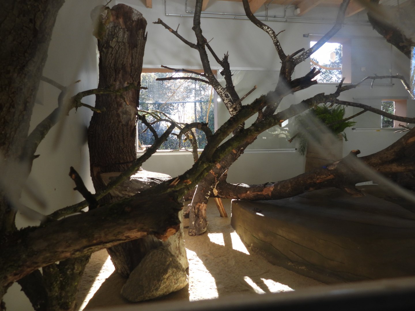 New area Biodiversity fo Europe - Indoor area for the birds of the "Subtropikum Aviary"