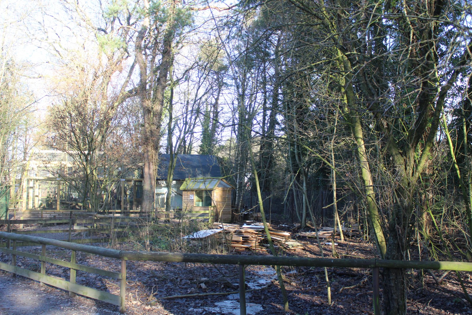 New area for Spiny House, Tenrec & Harvest Mouse.