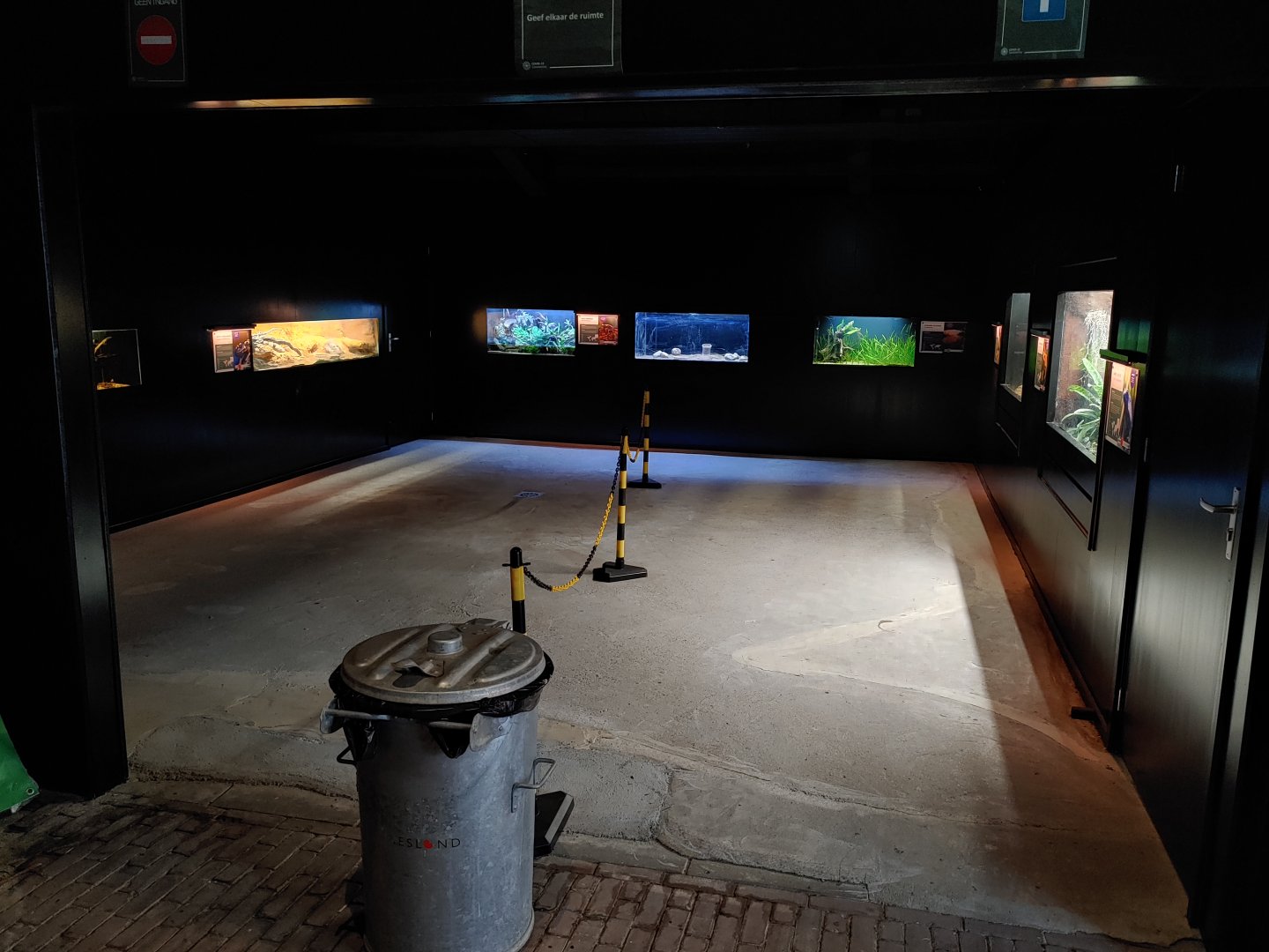 New area with multiple aquariums and terrariums.