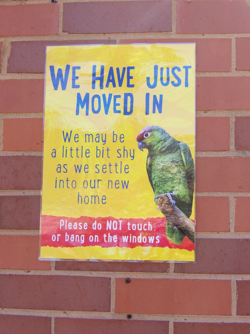 New Arrival Sign (Ecuadorian Amazons)