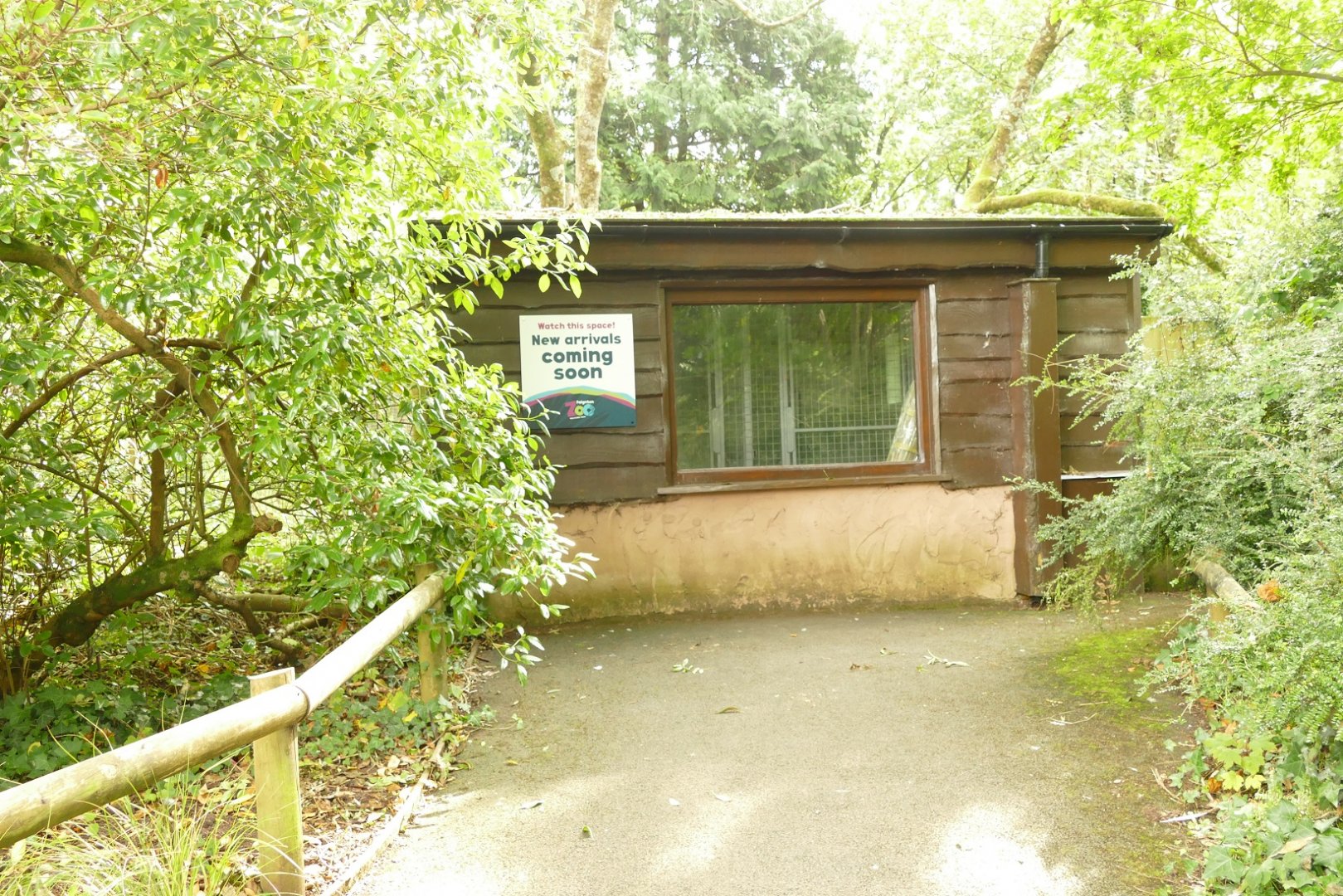 New arrivals #1? September 2021