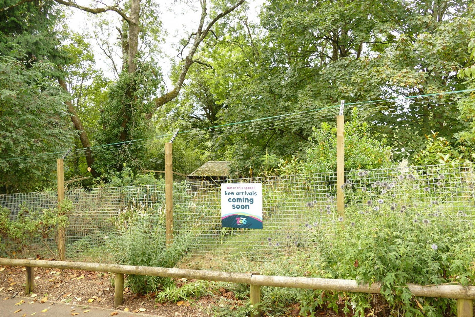 New arrivals #2? September 2021