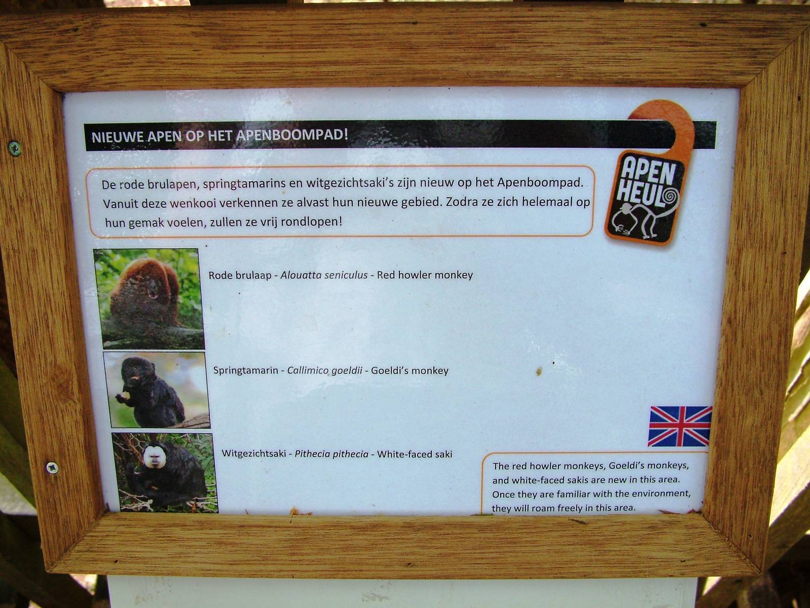 New Arrivals at Apenheul, 30/05/12