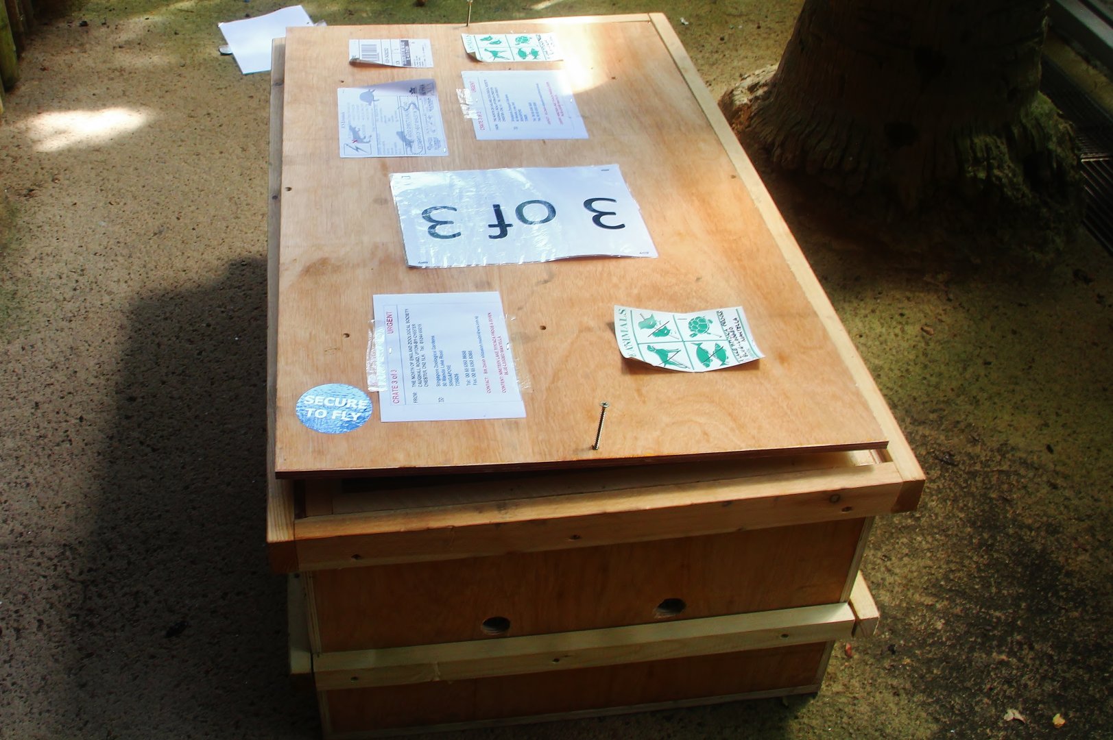 New arrivals from Chester Zoo