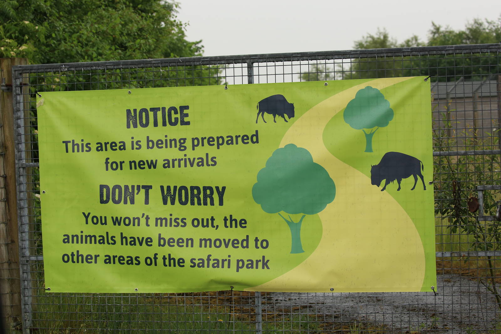 New Arrivals on their way :)