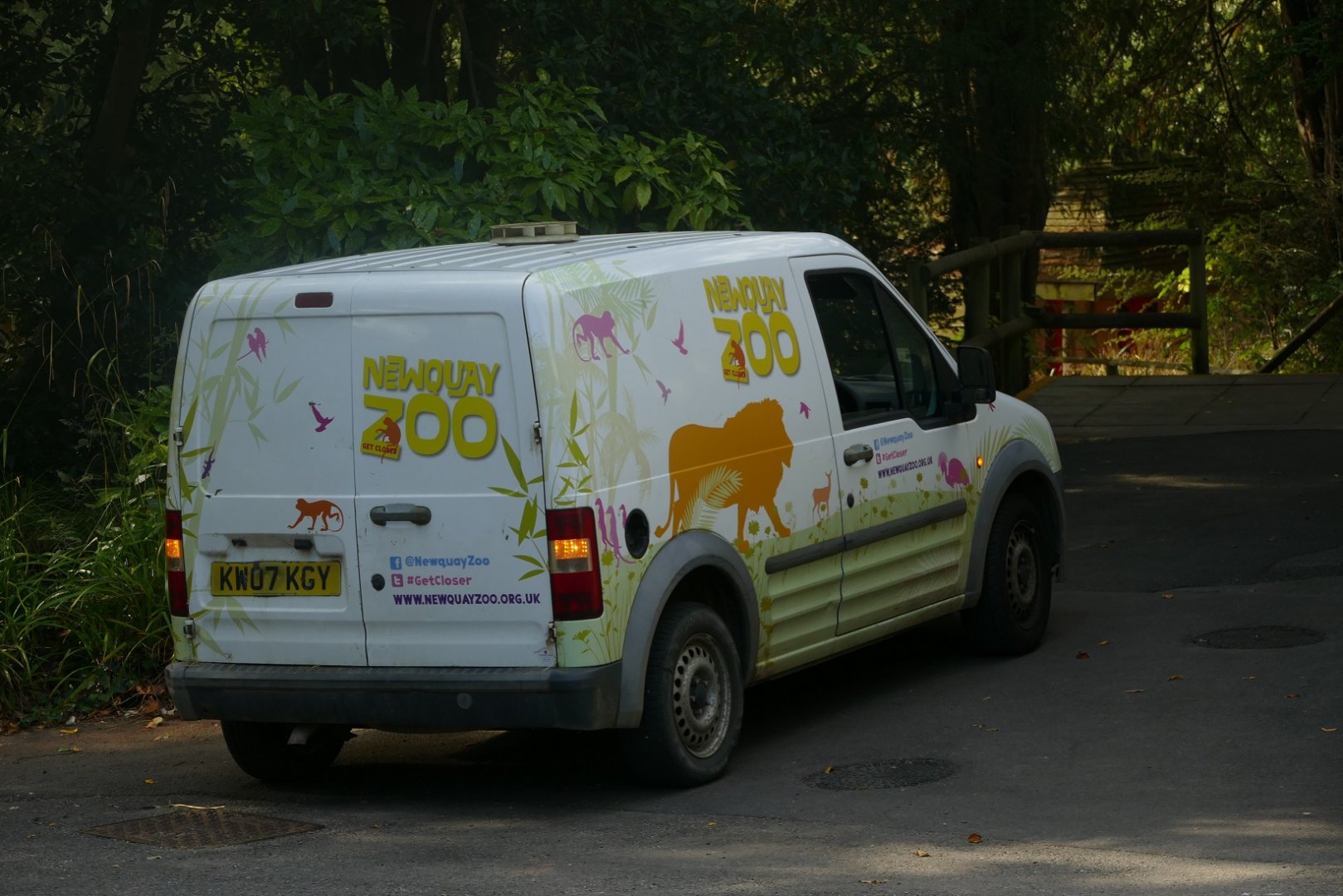 New arrivals, September 2021