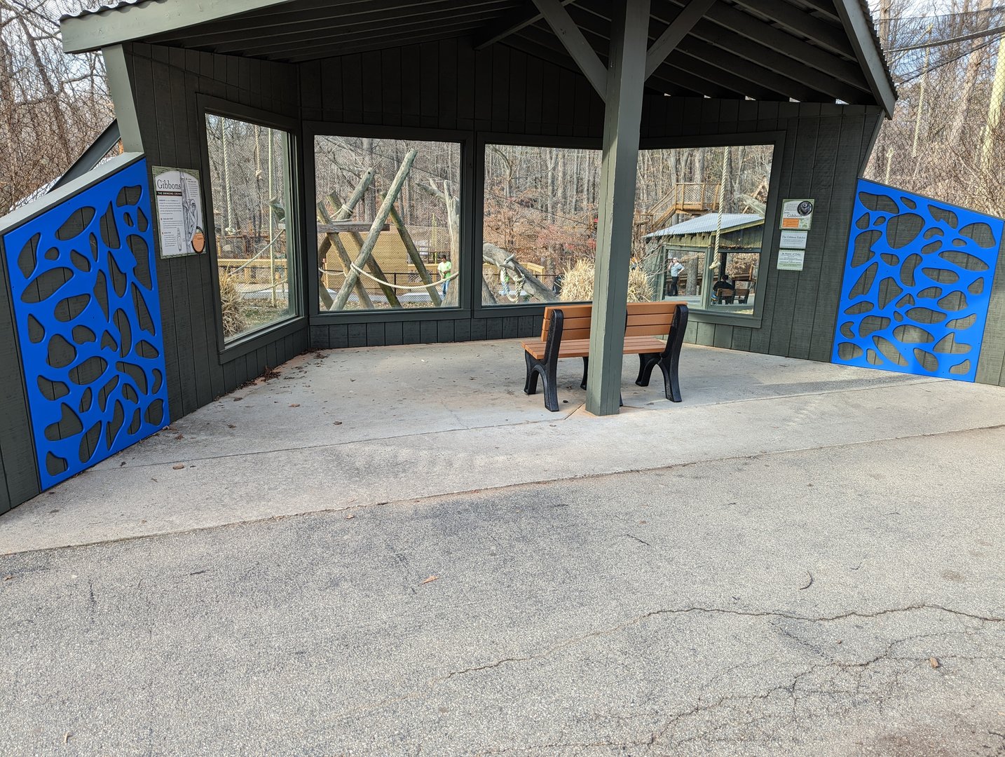 New art pieces at Gibbon viewing