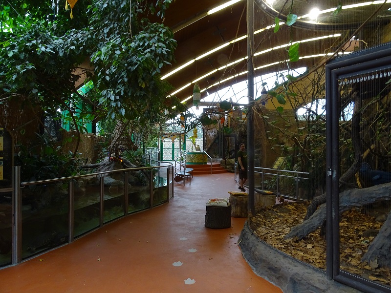 New Asia house; overview (04/23)