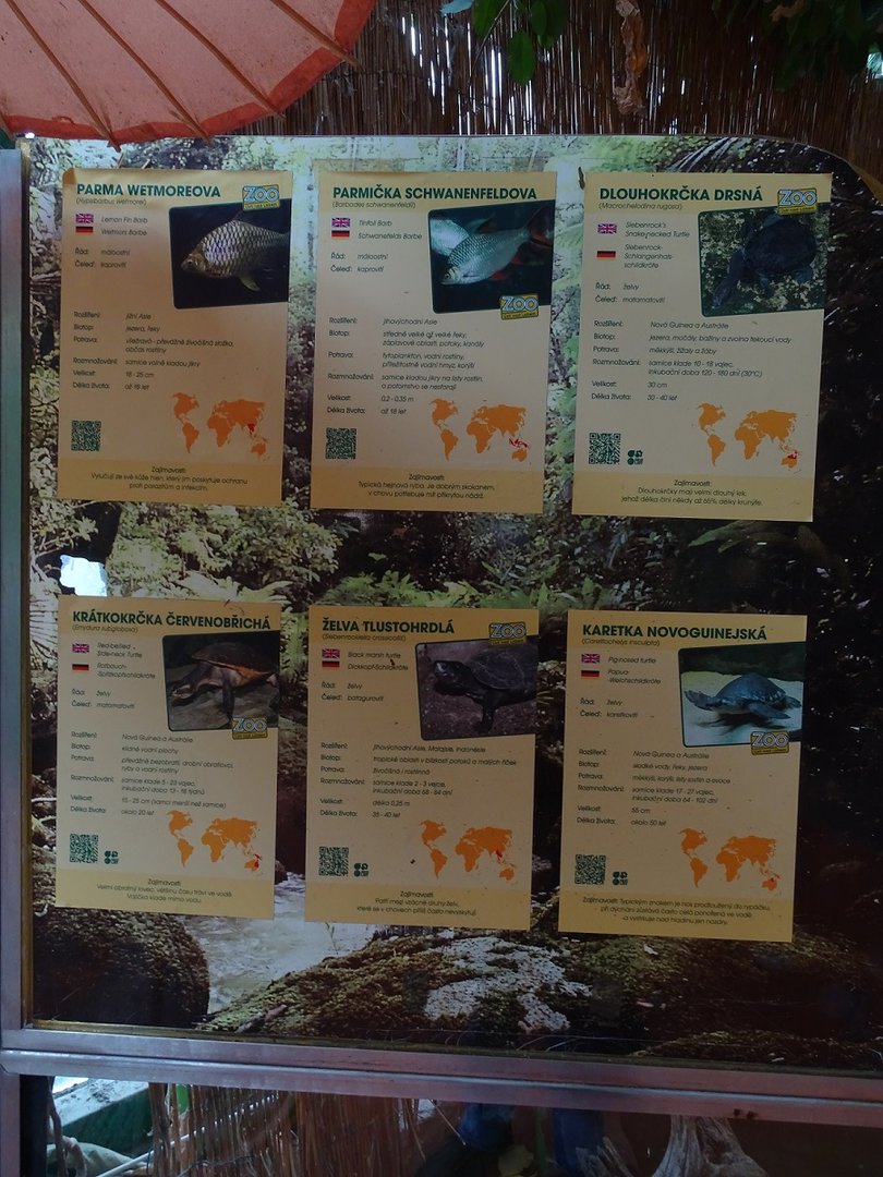 New Asia House; signage for the tank for turtles and fishes (04/23)