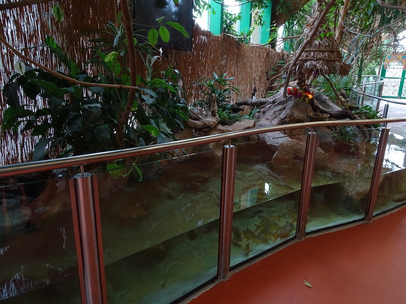 New Asia House; tank for turtles and fishes (04/23)