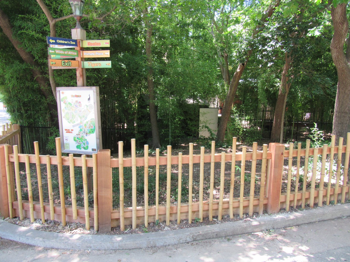 New Asian Brown Tortoise Exhibit