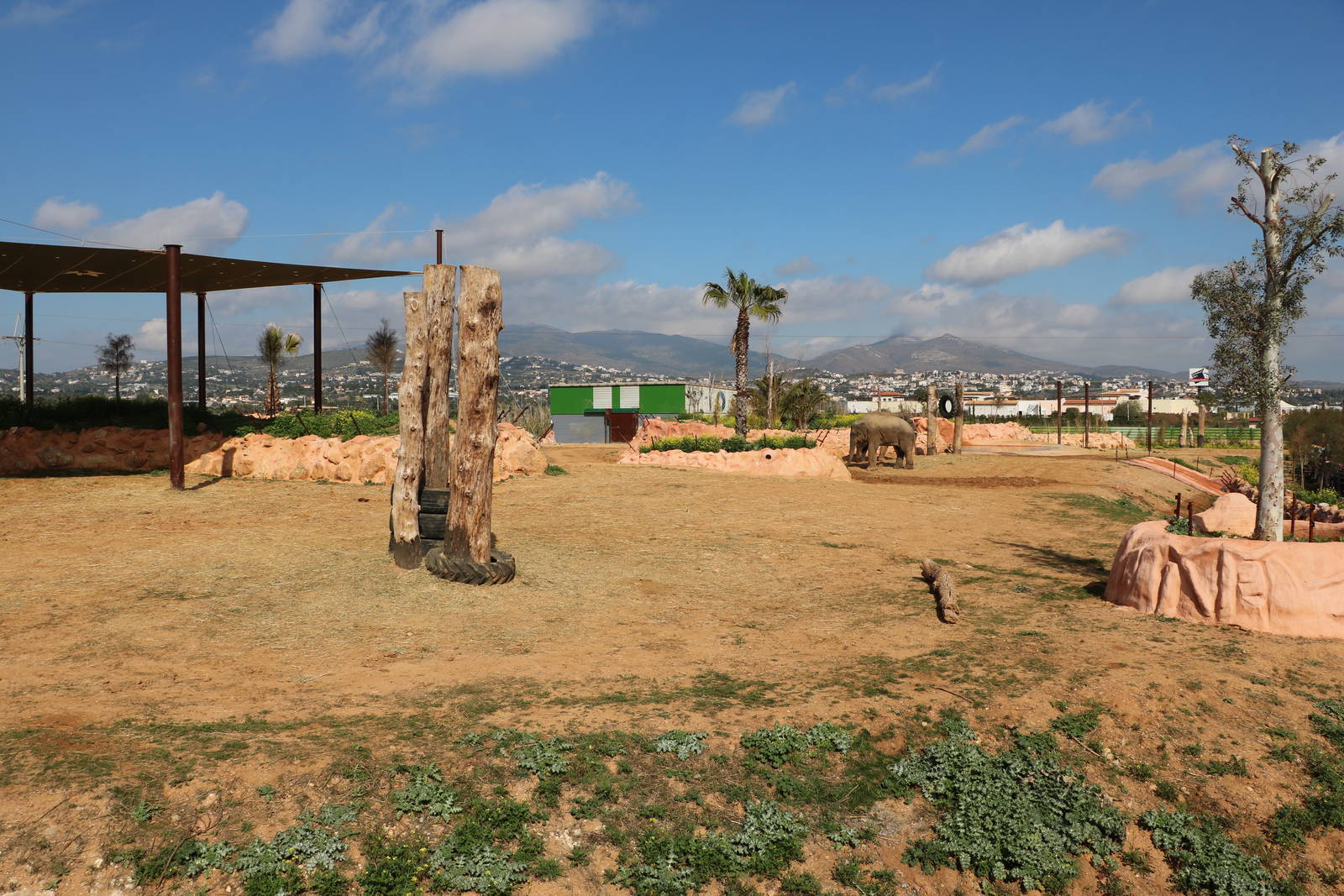 New Asian elephant enclosure, February 2016