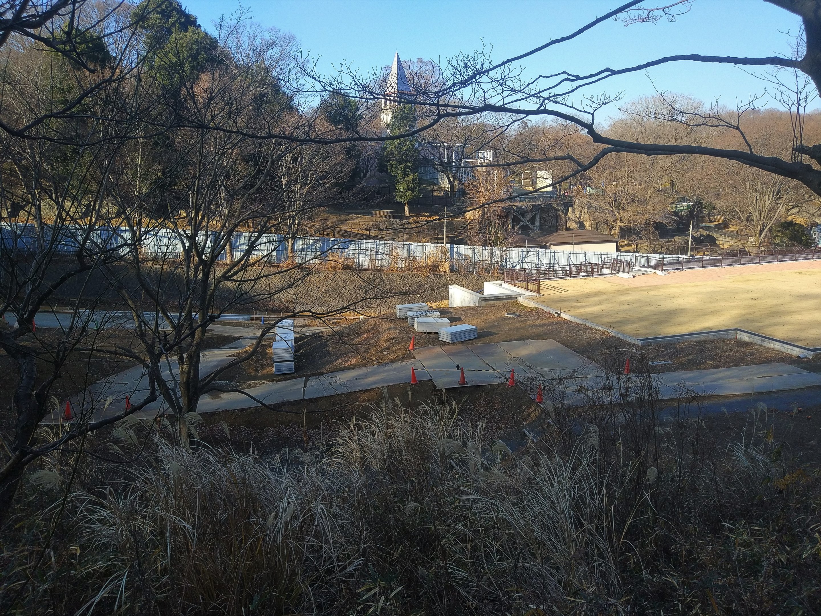 New Asian Elephant Exhibit