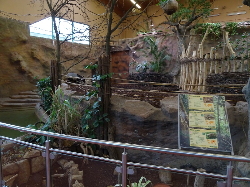 New Asian House; tapir / warty pig enclosure (04//23)