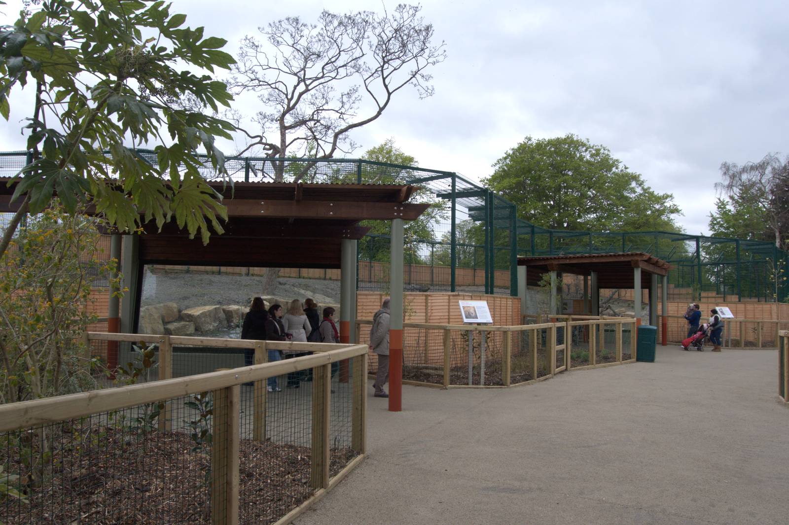 New Asian Lion Enclosure I - Dublin Zoo, May 2012
