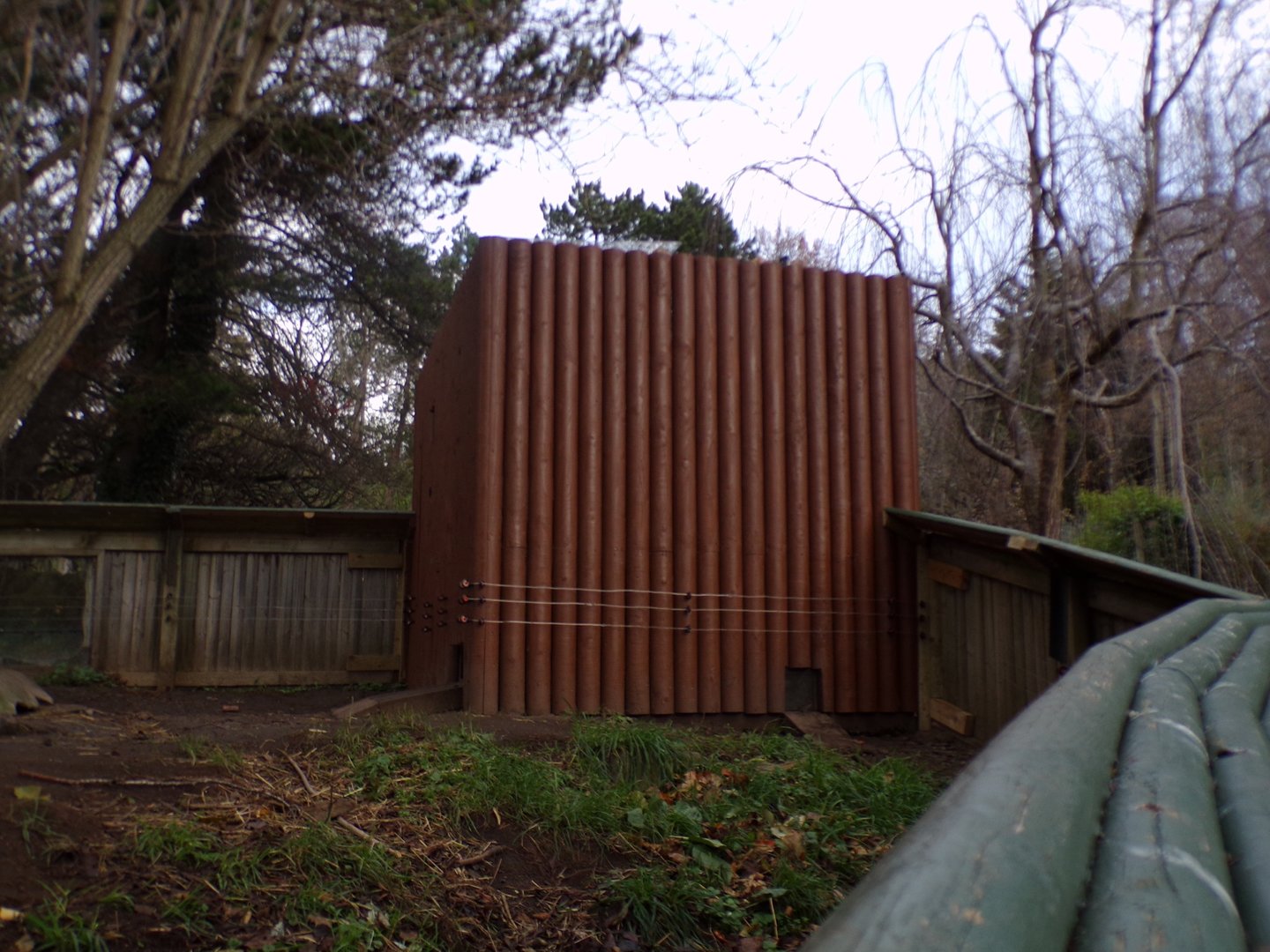 New Asian short clawed otter house