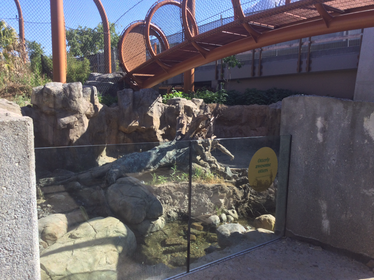 New Asian Small-clawed Otter Exhibit/Tiger Overhead Tunnel