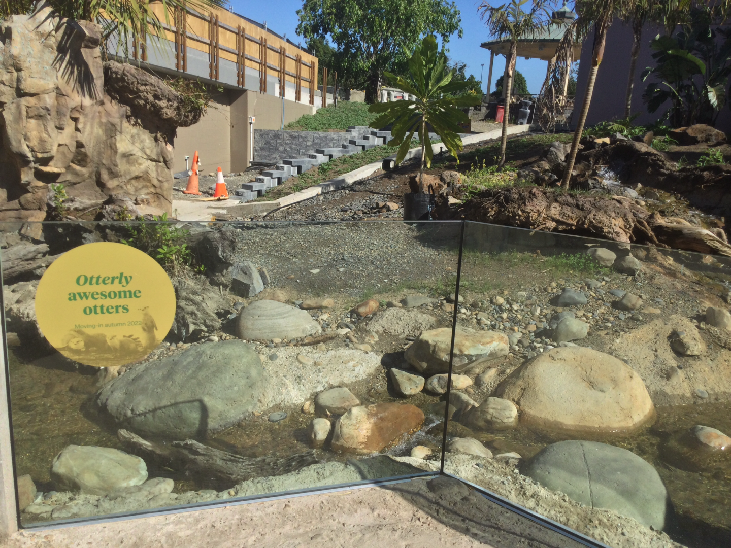 New Asian Small-clawed Otter Exhibit