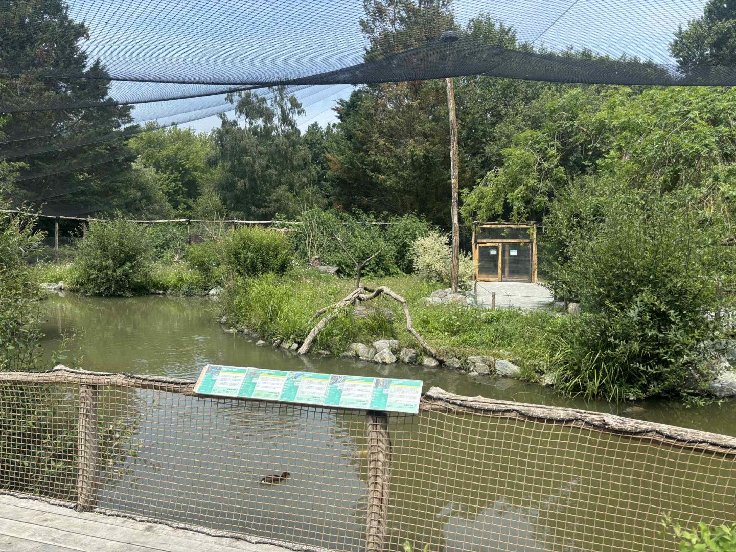 New Asian walkthrough aviary