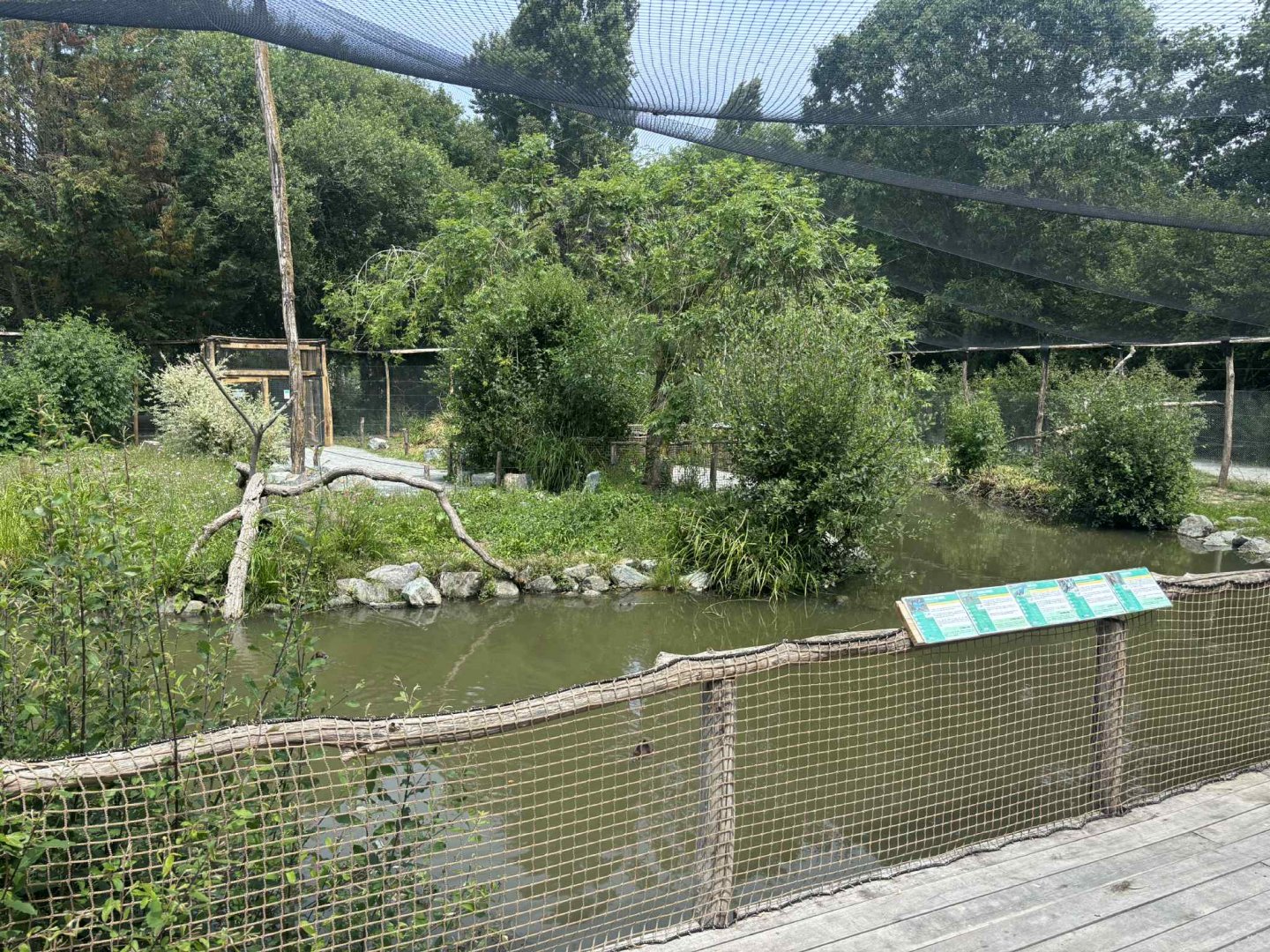 New Asian walkthrough aviary