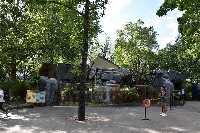 New Australia building : outside enclosures for Goodfellow's tree-kangaroo