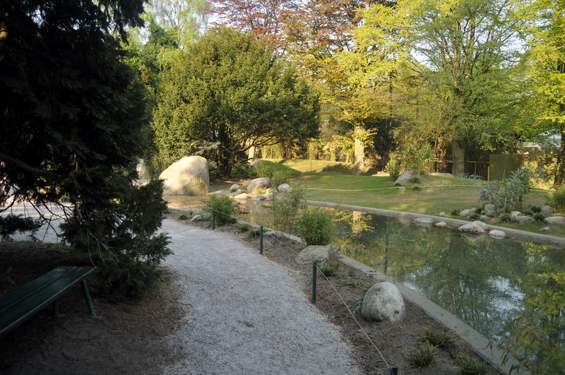 New australia enclosure