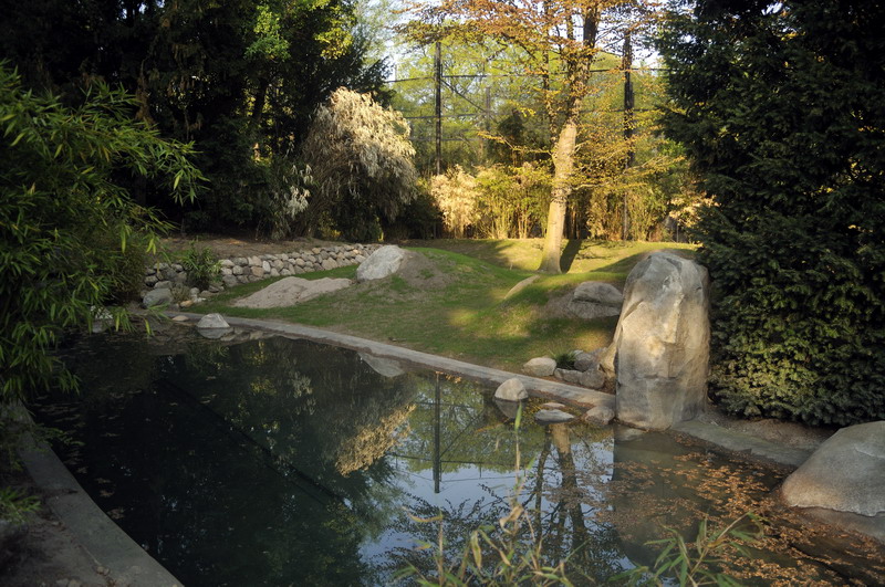 New australia enclosure