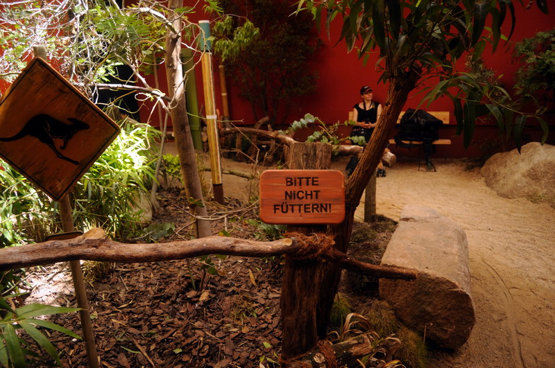 New australia-house at Hamburg