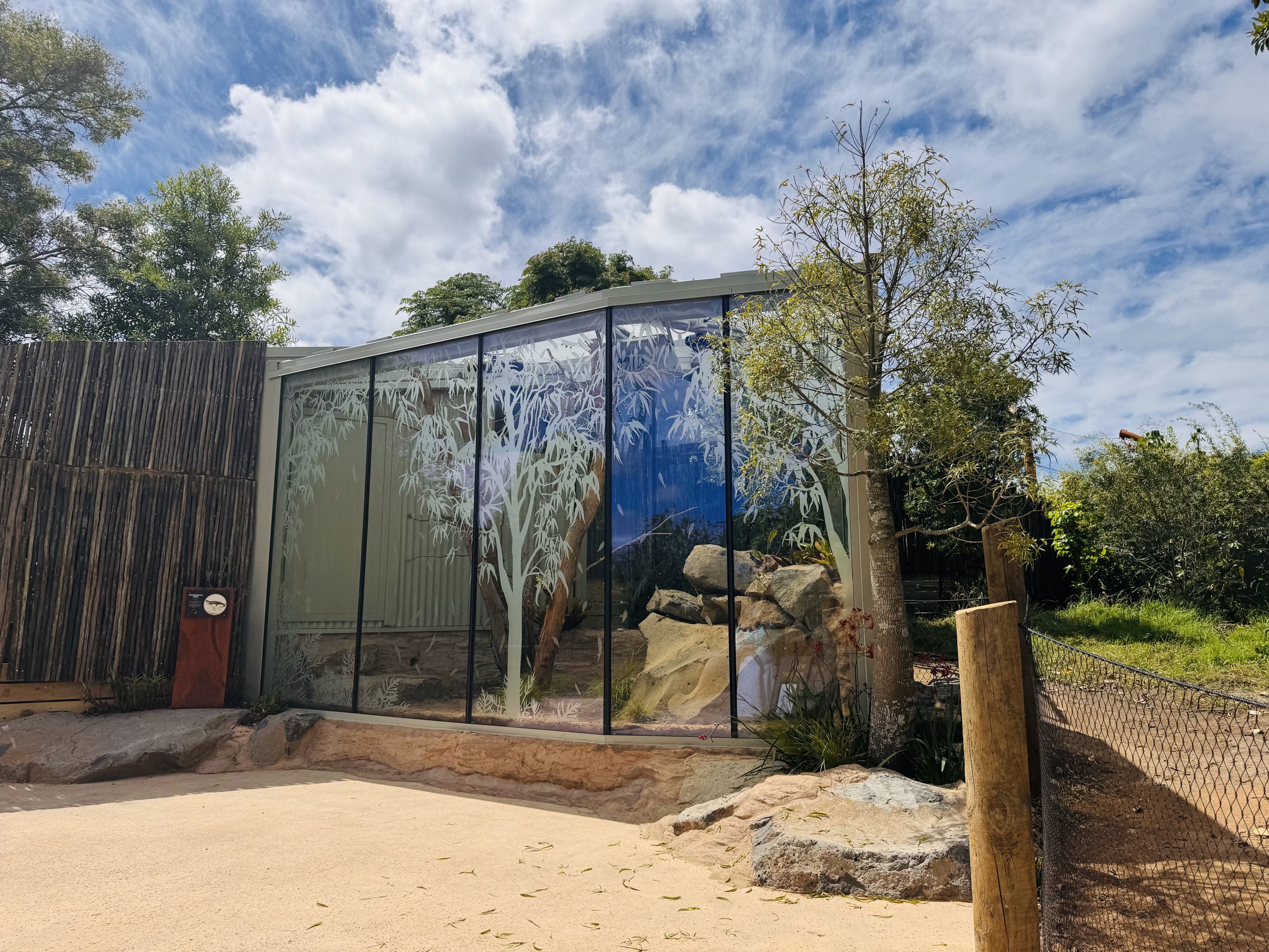 New Australian lizard enclosure