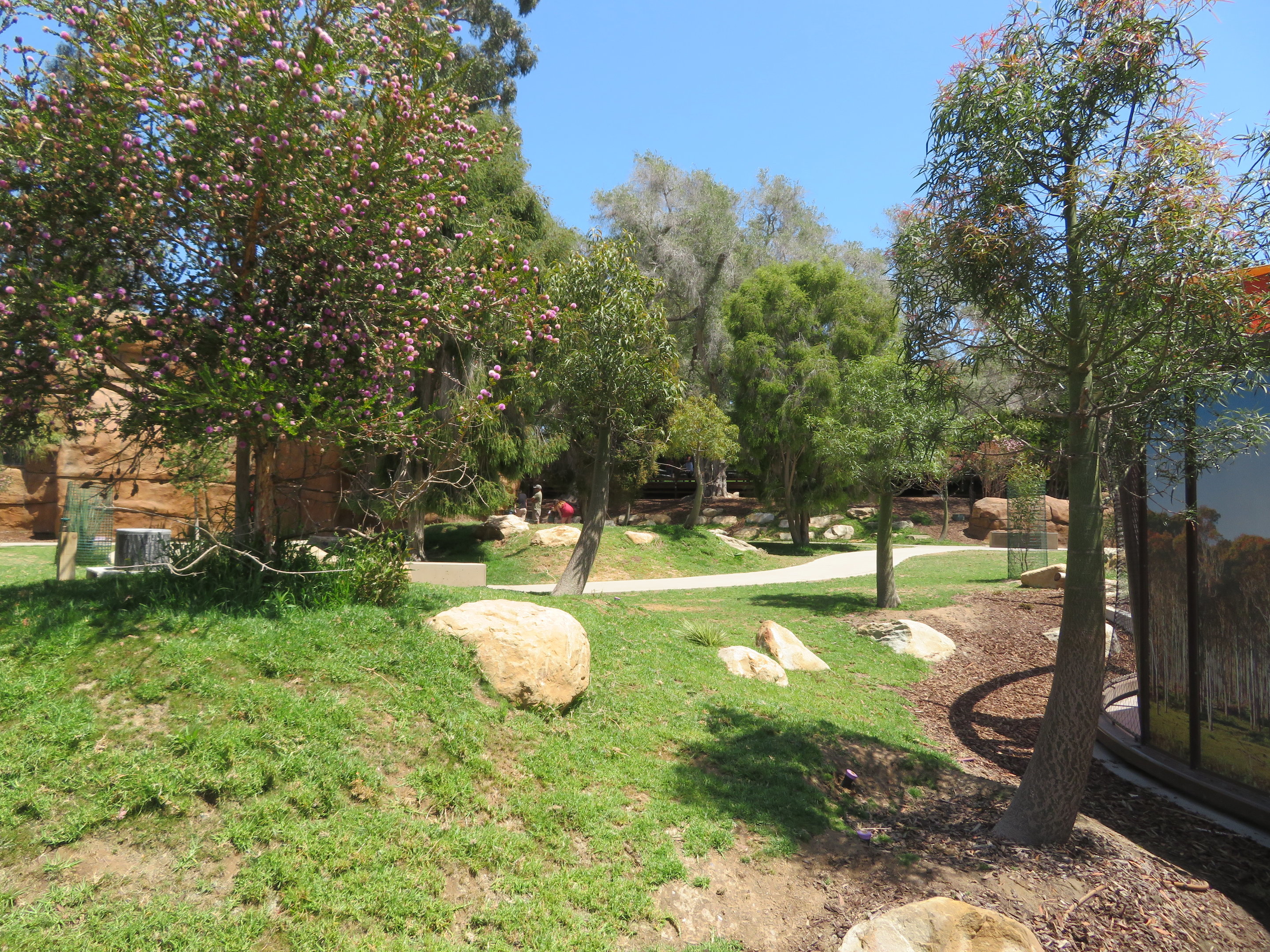 New Australian Walk-through