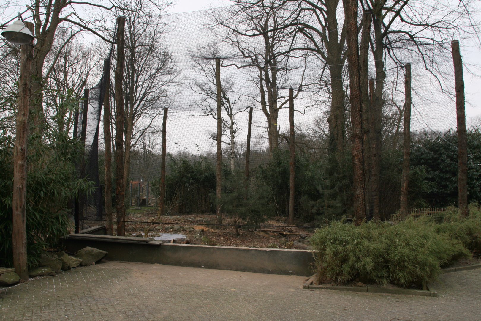 new avairy under constuction