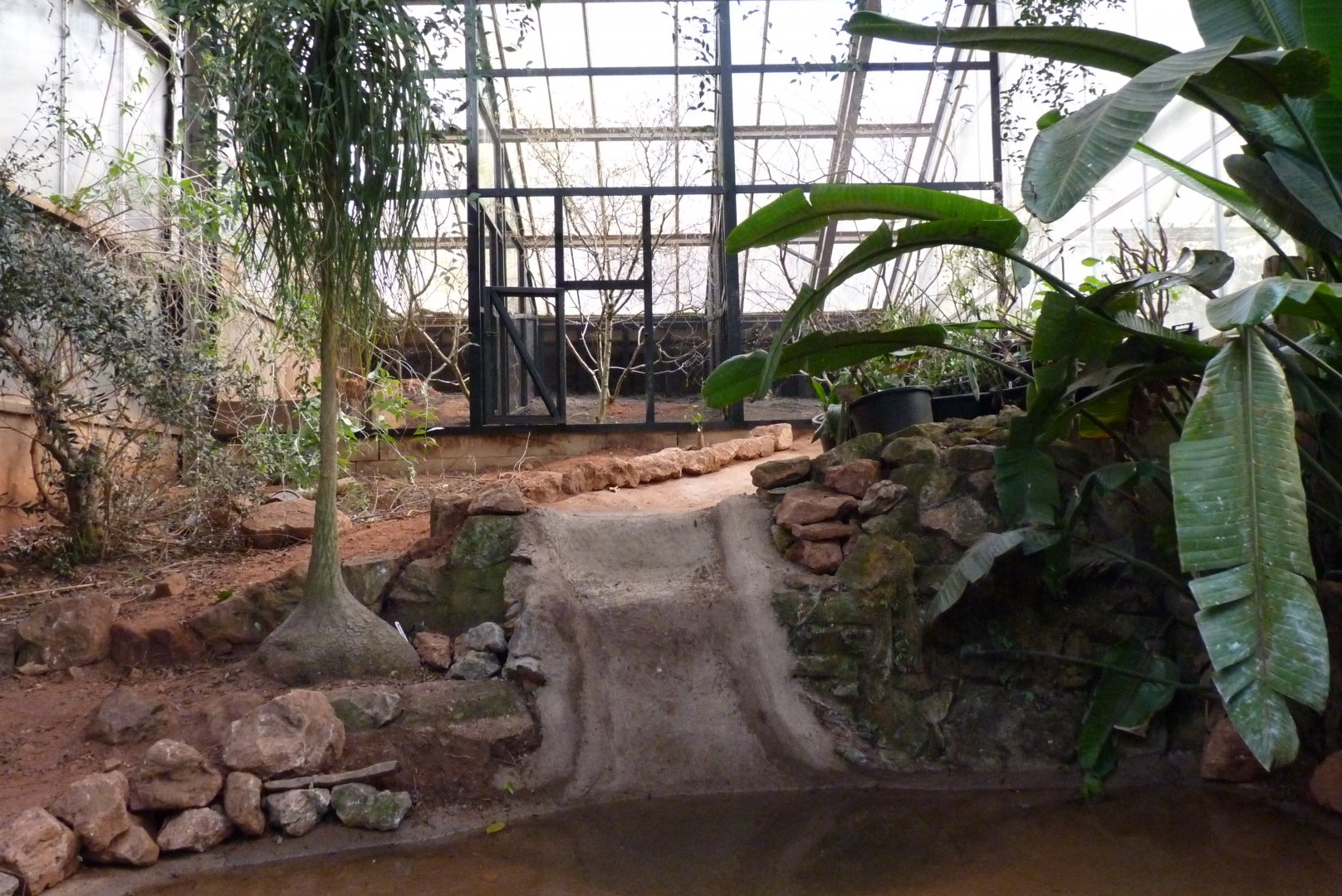 New aviaries, February 2017