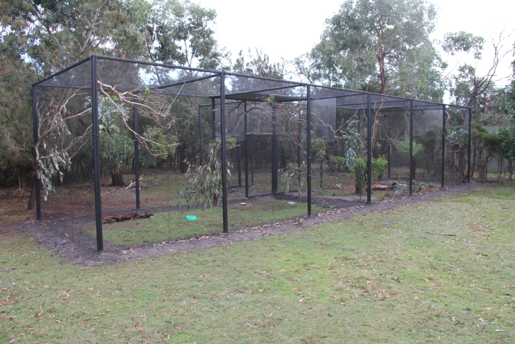 New aviaries for parrots and bowerbirds