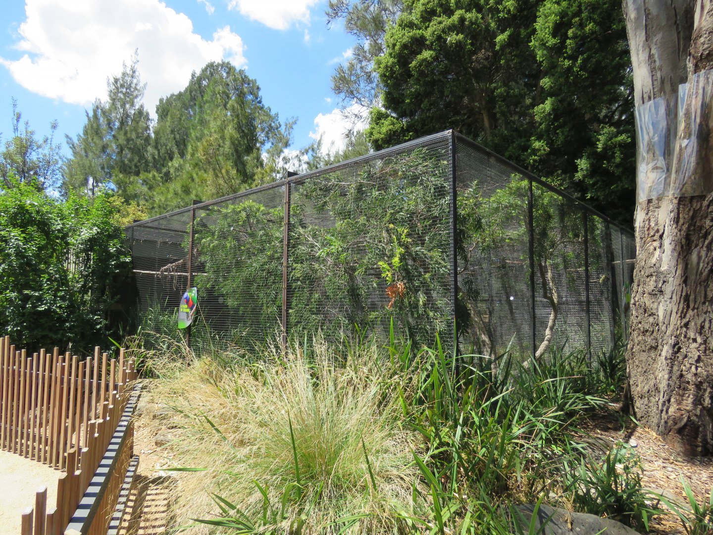 New Aviaries in Australia Precinct