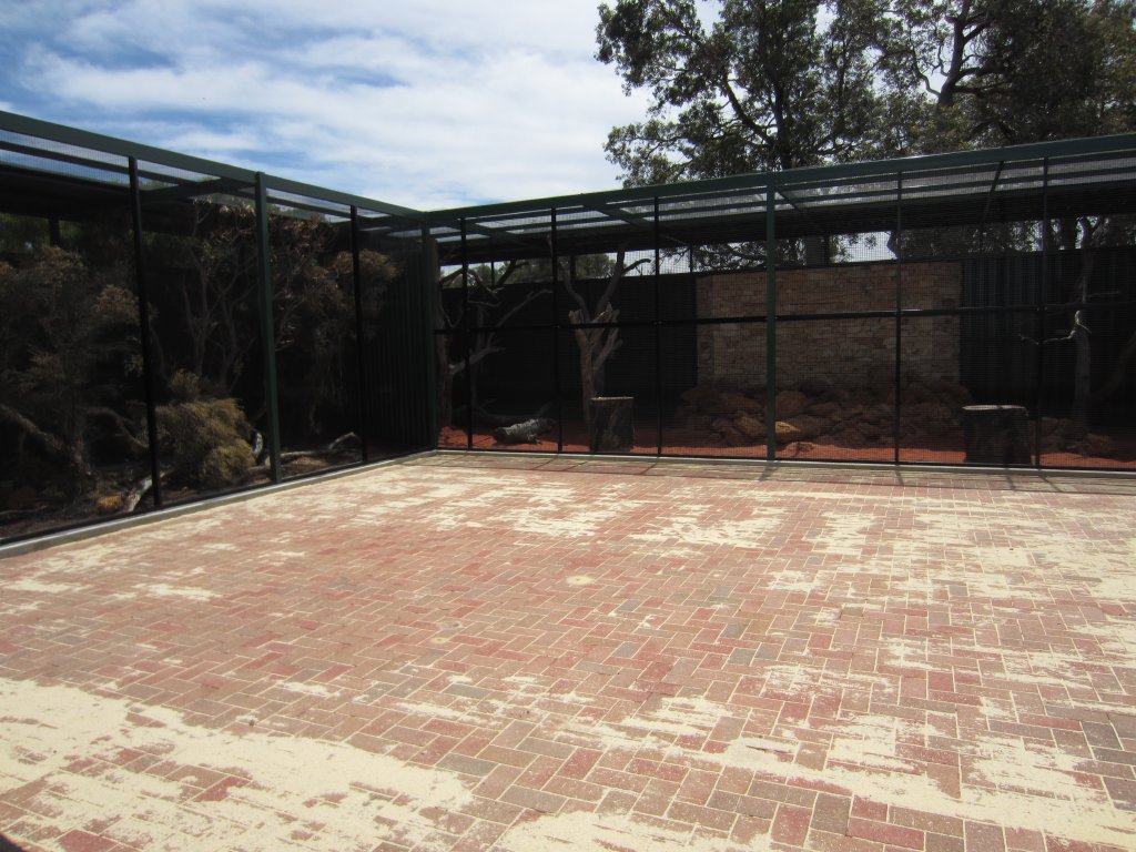New Aviaries nearing completion